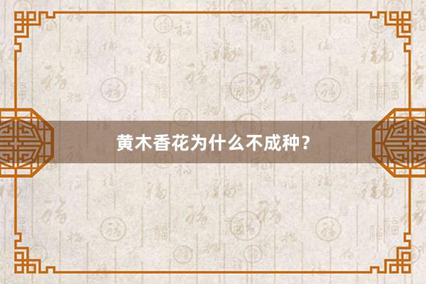 黄木香花为什么不成种？
