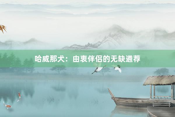 哈威那犬：由衷伴侣的无缺遴荐