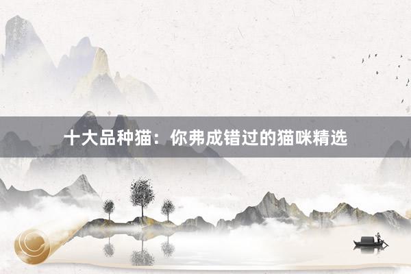 十大品种猫：你弗成错过的猫咪精选