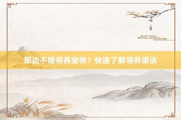 那边不错领养宠物？快速了解领养渠谈
