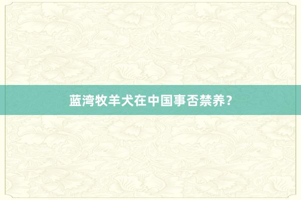 蓝湾牧羊犬在中国事否禁养？