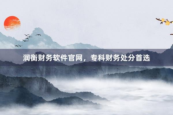 润衡财务软件官网，专科财务处分首选